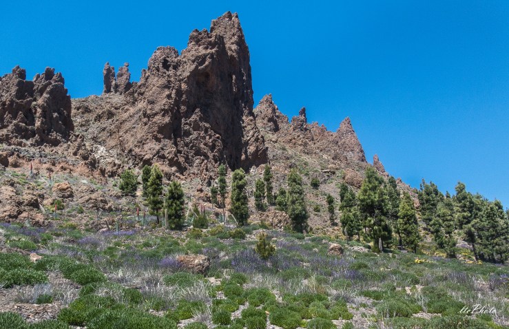 Roques_de_Chavao_P1040988